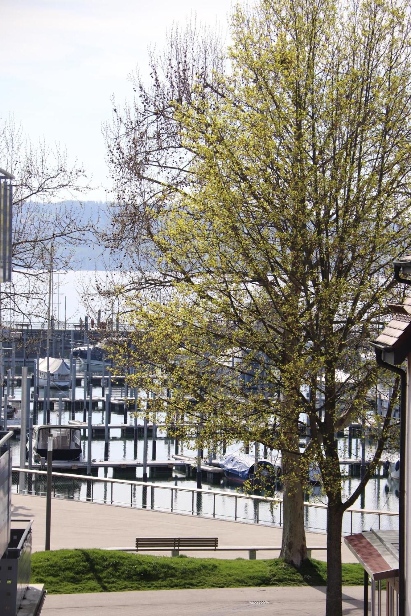 Uhldingen-Mühlhofen Gaestehaus Maeder Am Hafen חדר תמונה