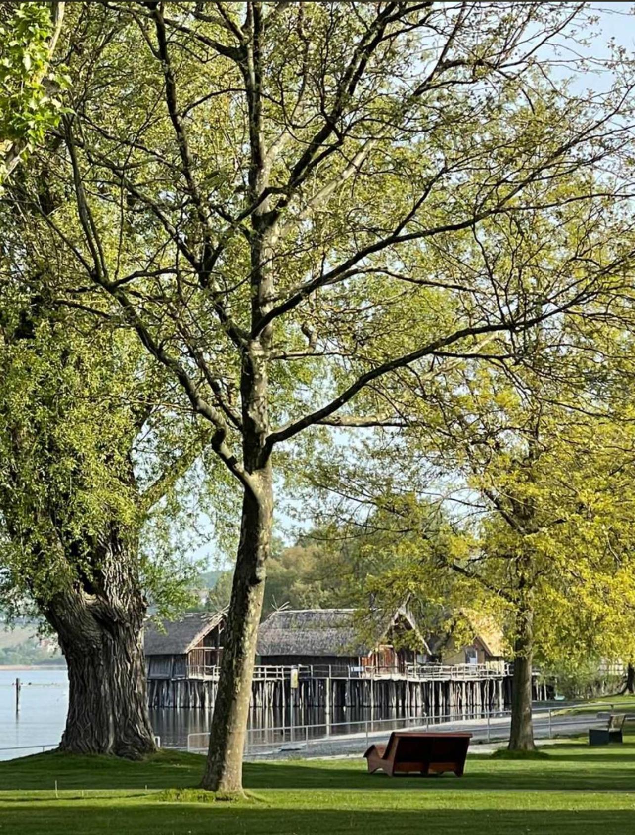 Uhldingen-Mühlhofen Gaestehaus Maeder Am Hafen מראה חיצוני תמונה